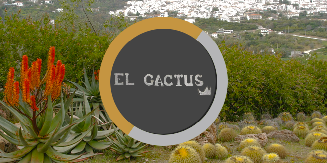 Bar El Cactus Casarabonela