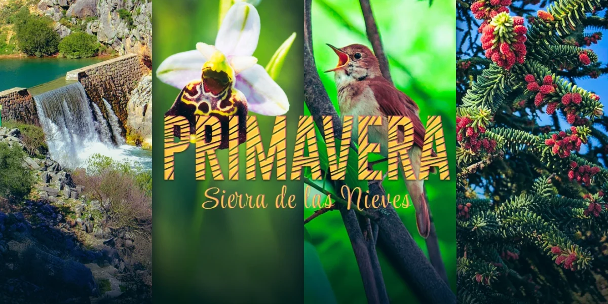 Primavera en la Sierra de las Nieves