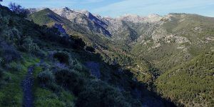 Ruta circular por el Valle del Río de los Horcajos