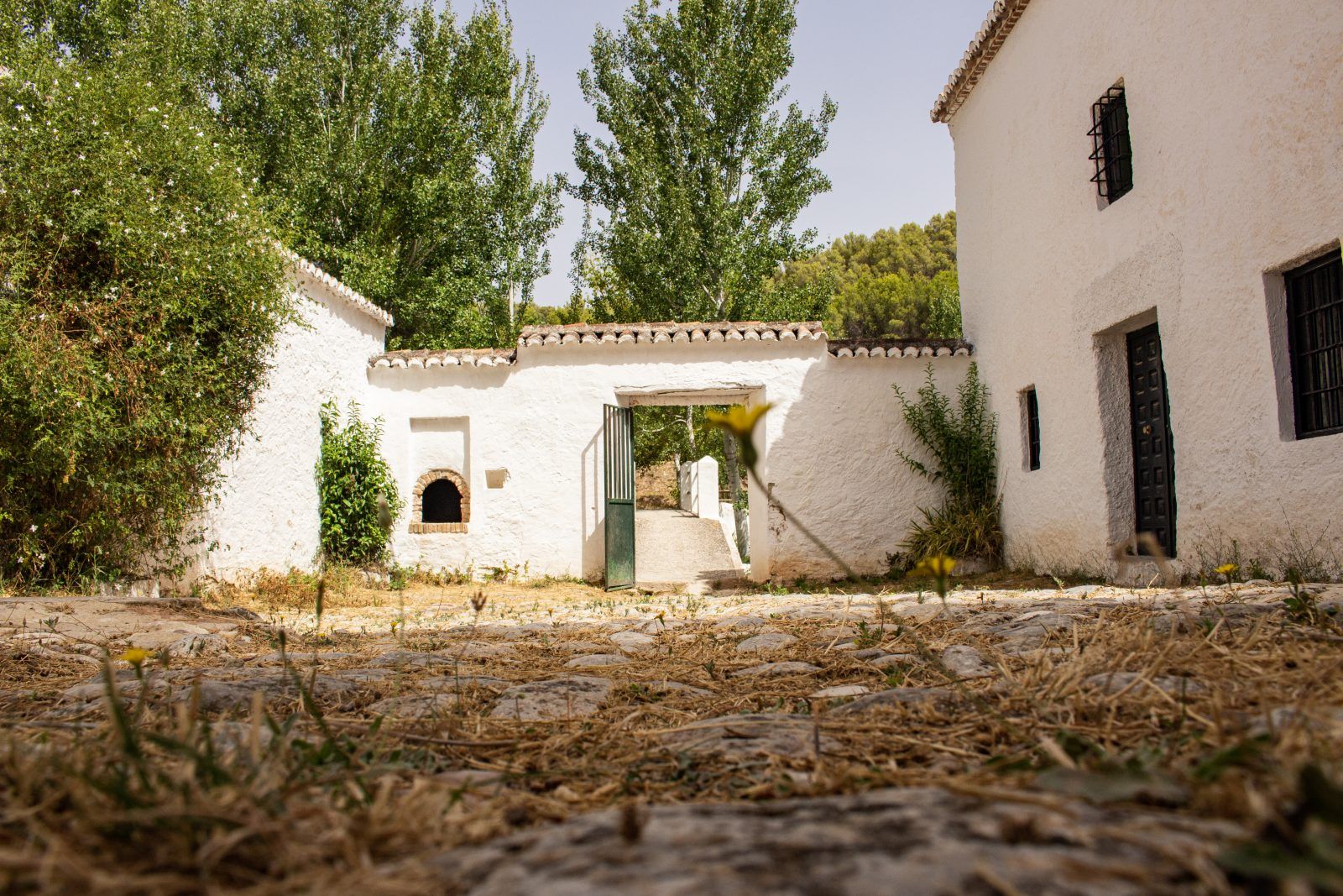 Área Recreativa La Fuensanta - Parque Nacional Sierra de las Nieves