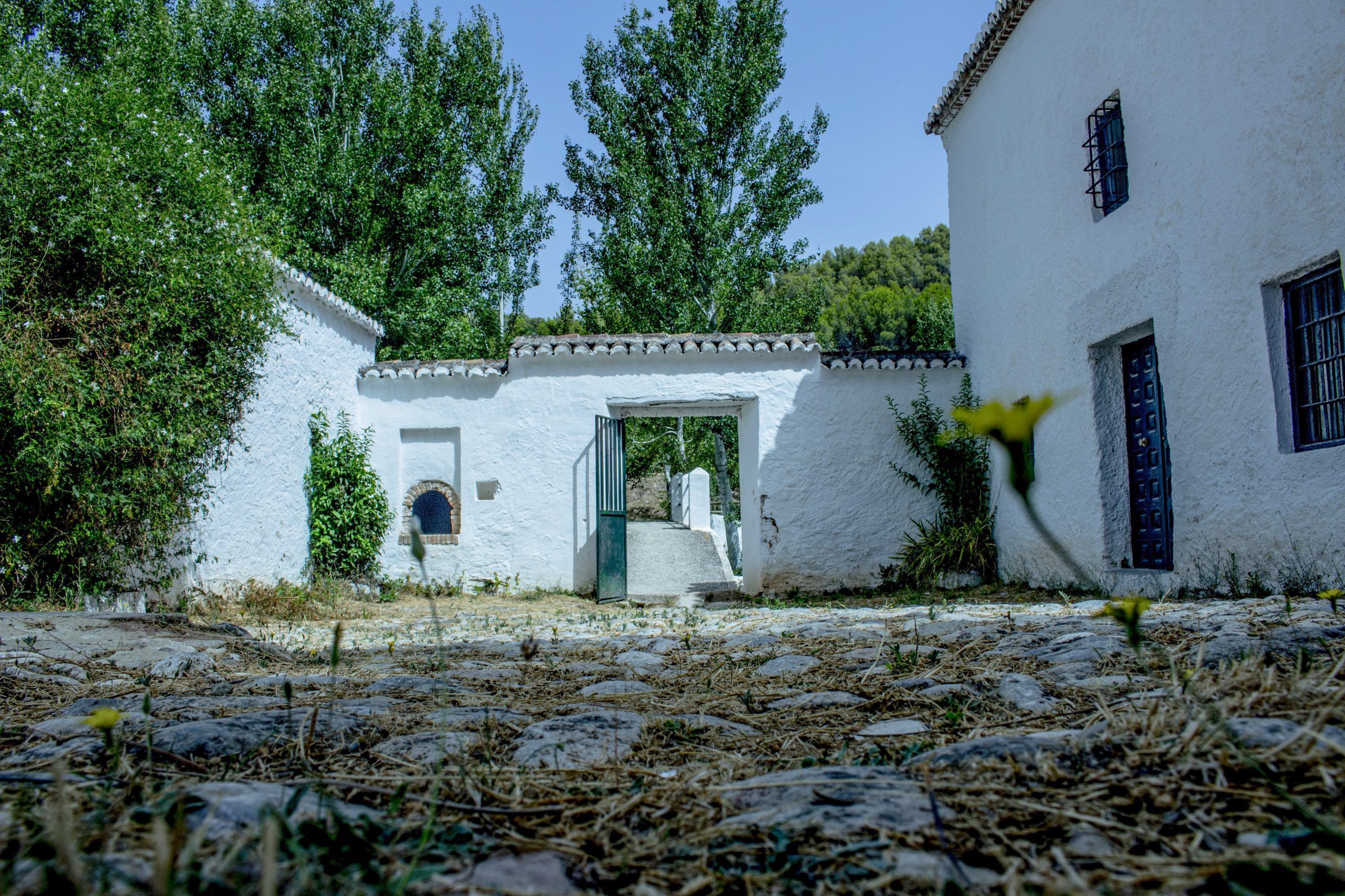 Área Recreativa La Fuensanta - Parque Nacional Sierra de las Nieves