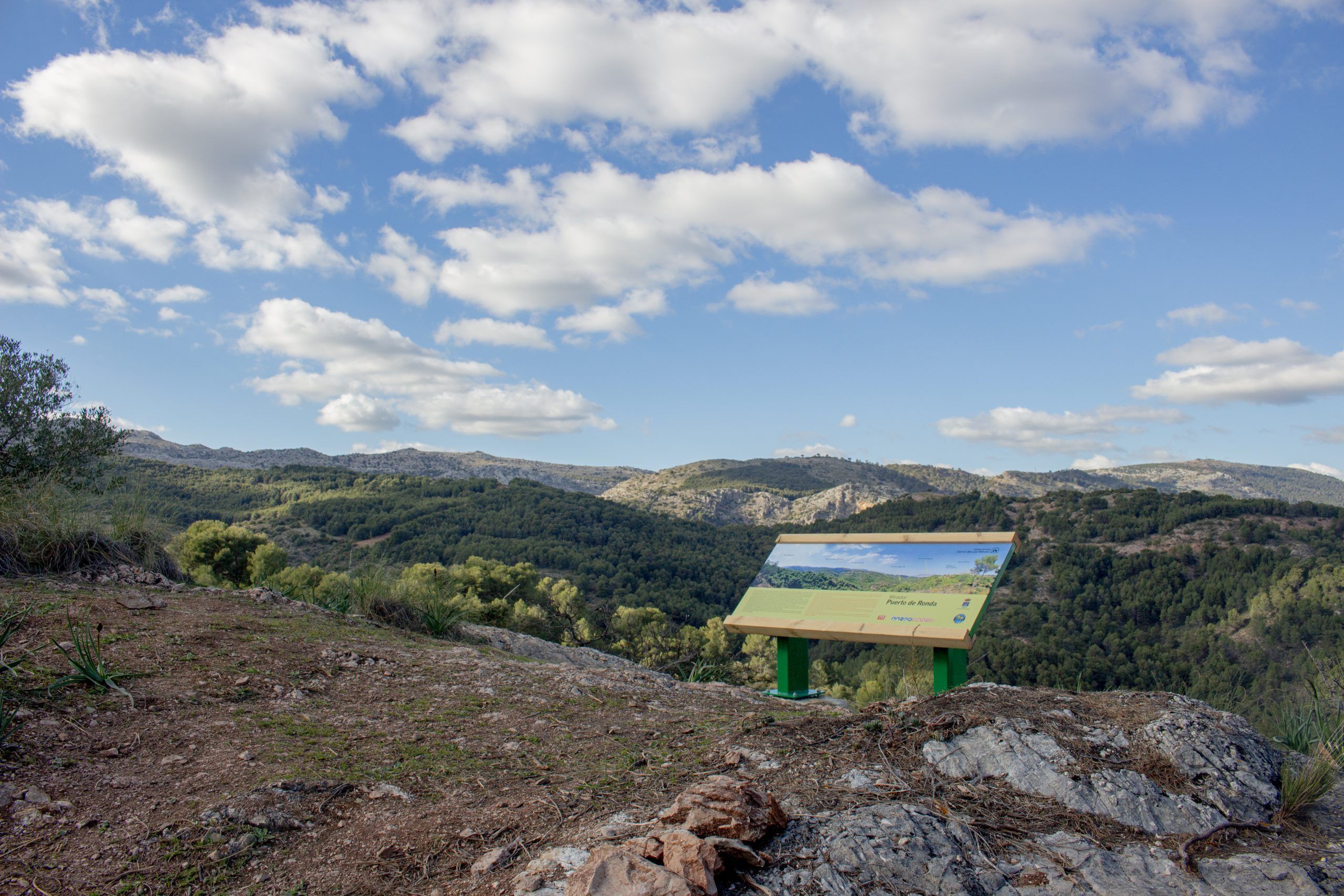 Sendero Paco Romero "El Forestal" - Puerto de Ronda - El Burgo, Sierra de las Nieves