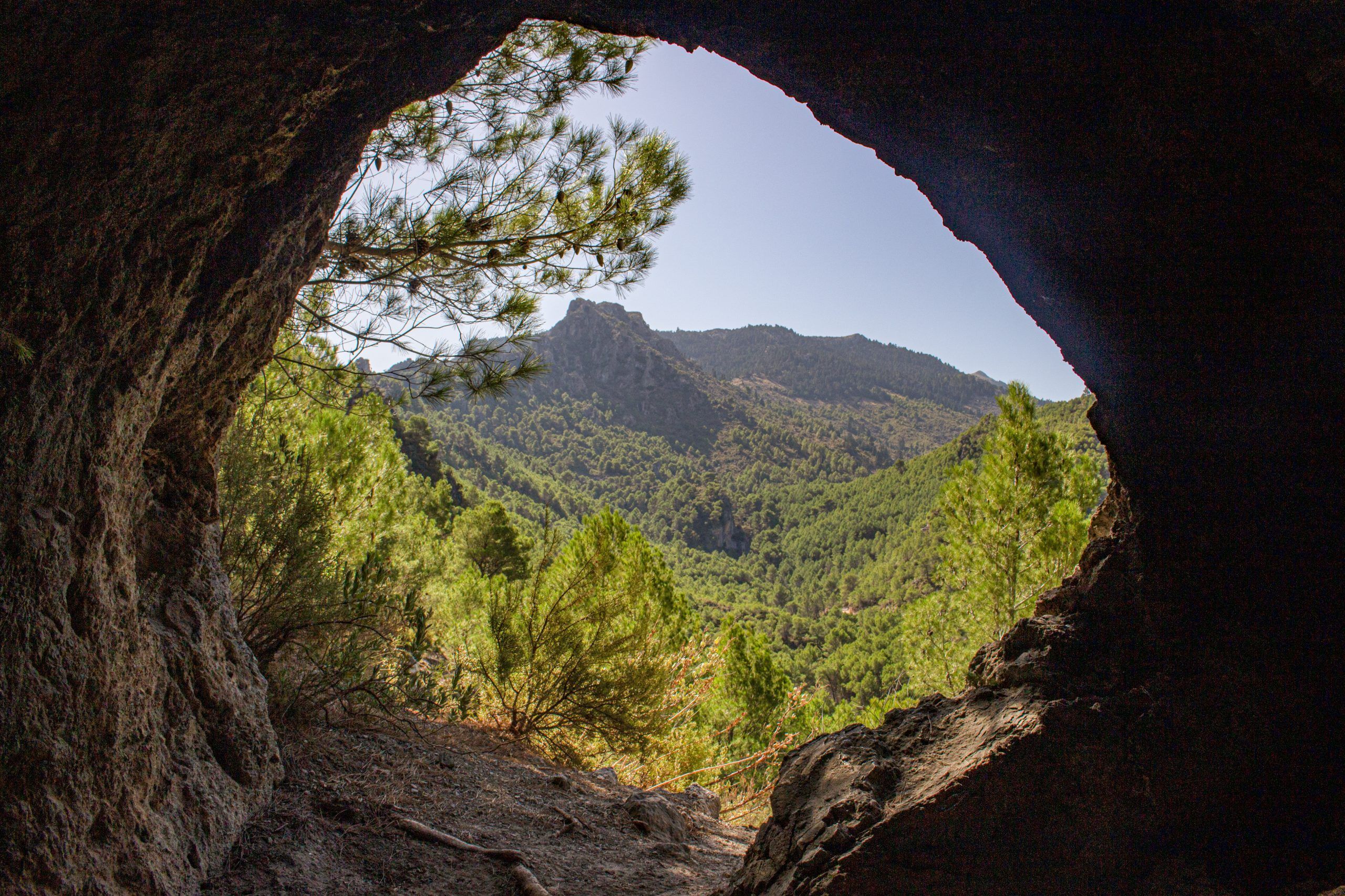 Cañada la Encina, Parque Nacional Sierra de las Nieves - El Burgo