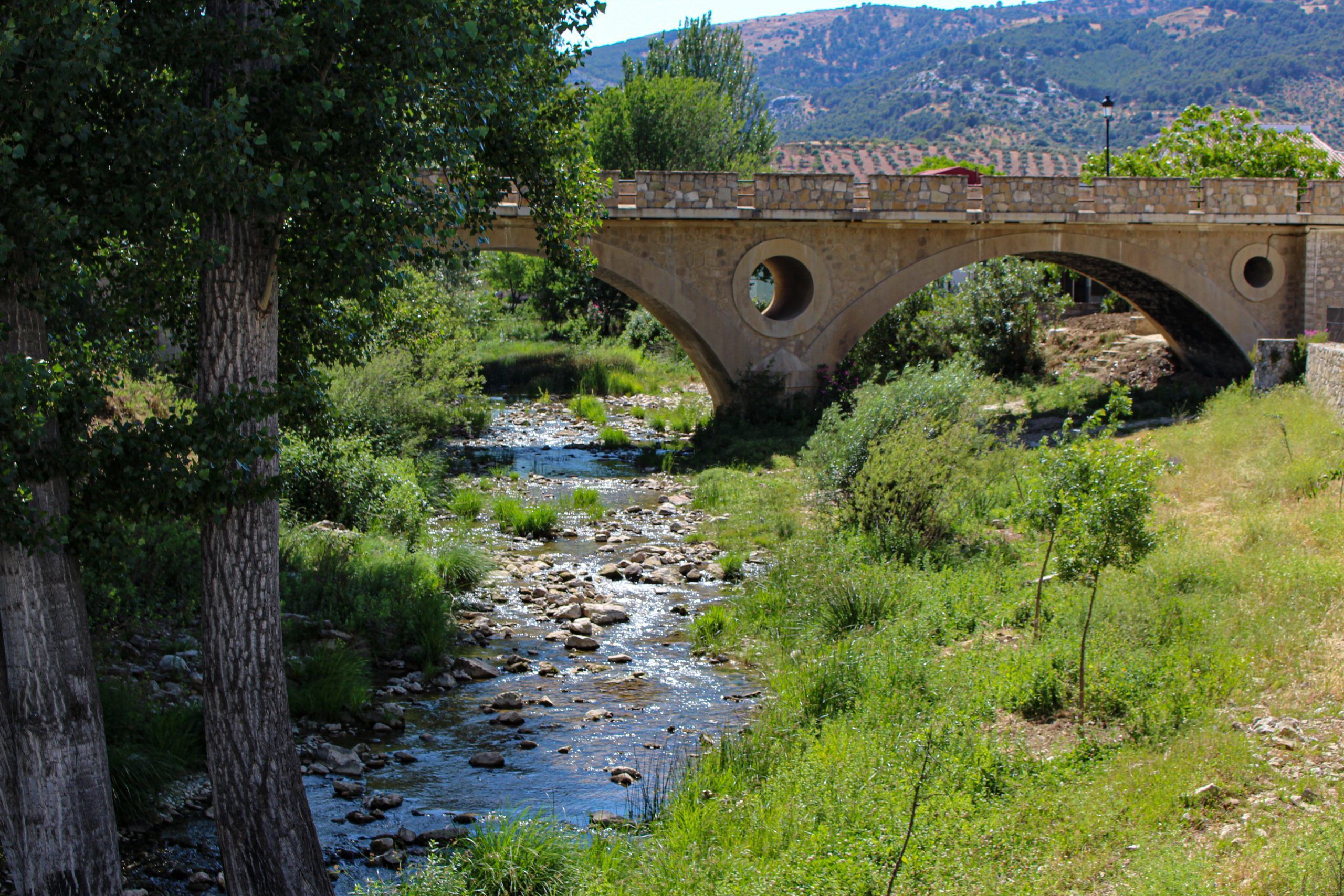 Puente Nuevo - El Burgo (Málaga) - Parque Nacional Sierra de las Nieves