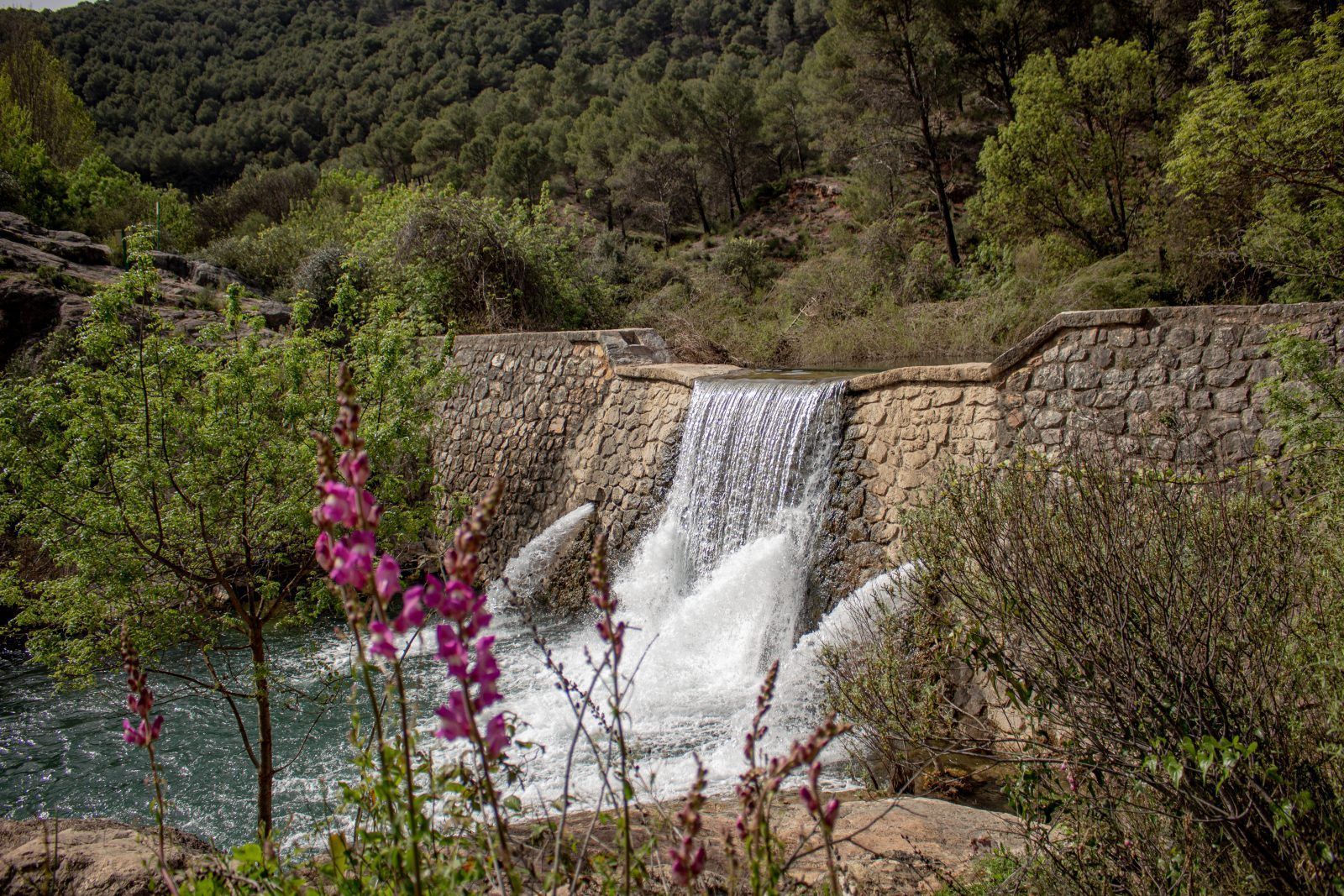 Presa El Dique - Río Turón - El Burgo, Sierra de las Nieves