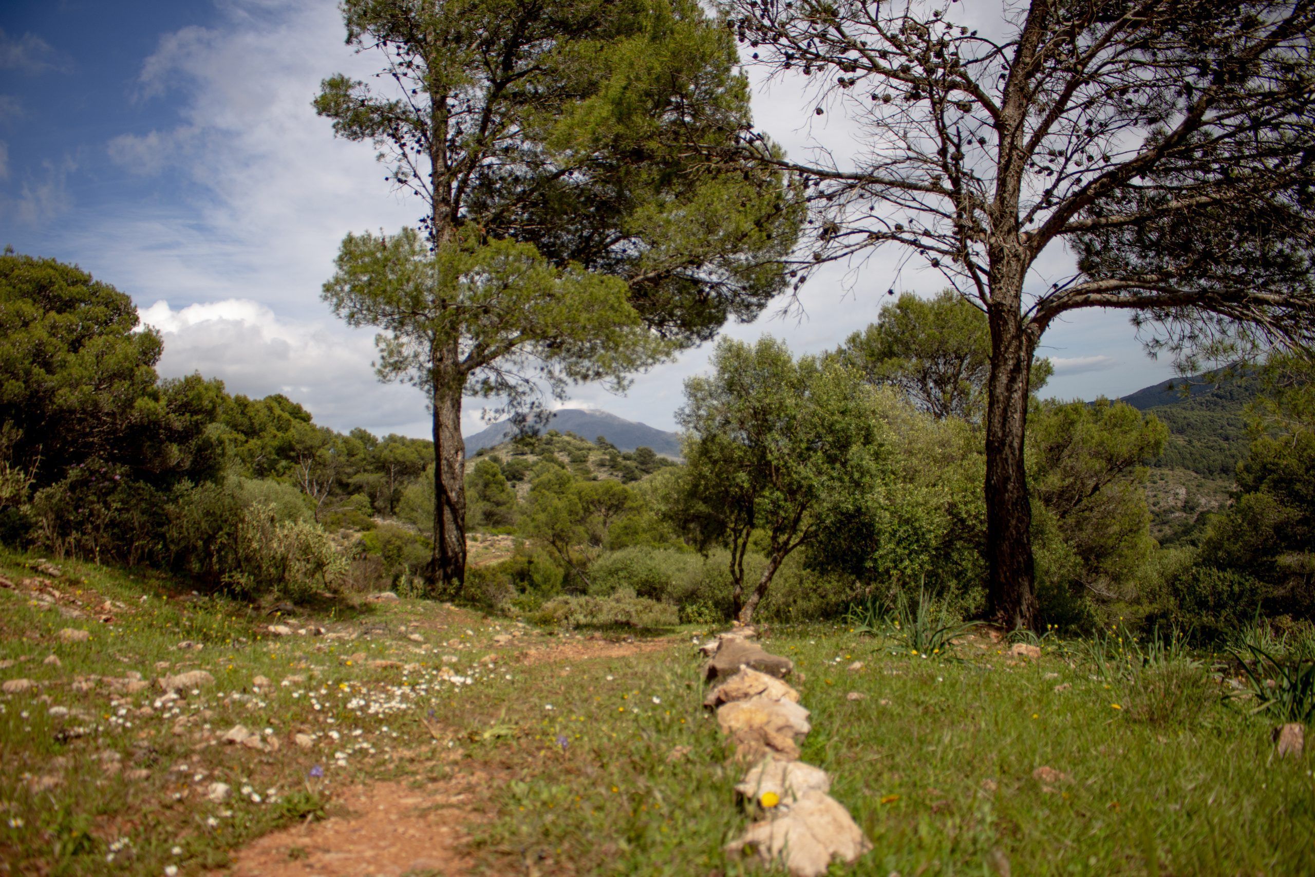 Sendero Manuel Garcia Rosa - Puerto de la Mujer, El Burgo, Sierra de las Nieves