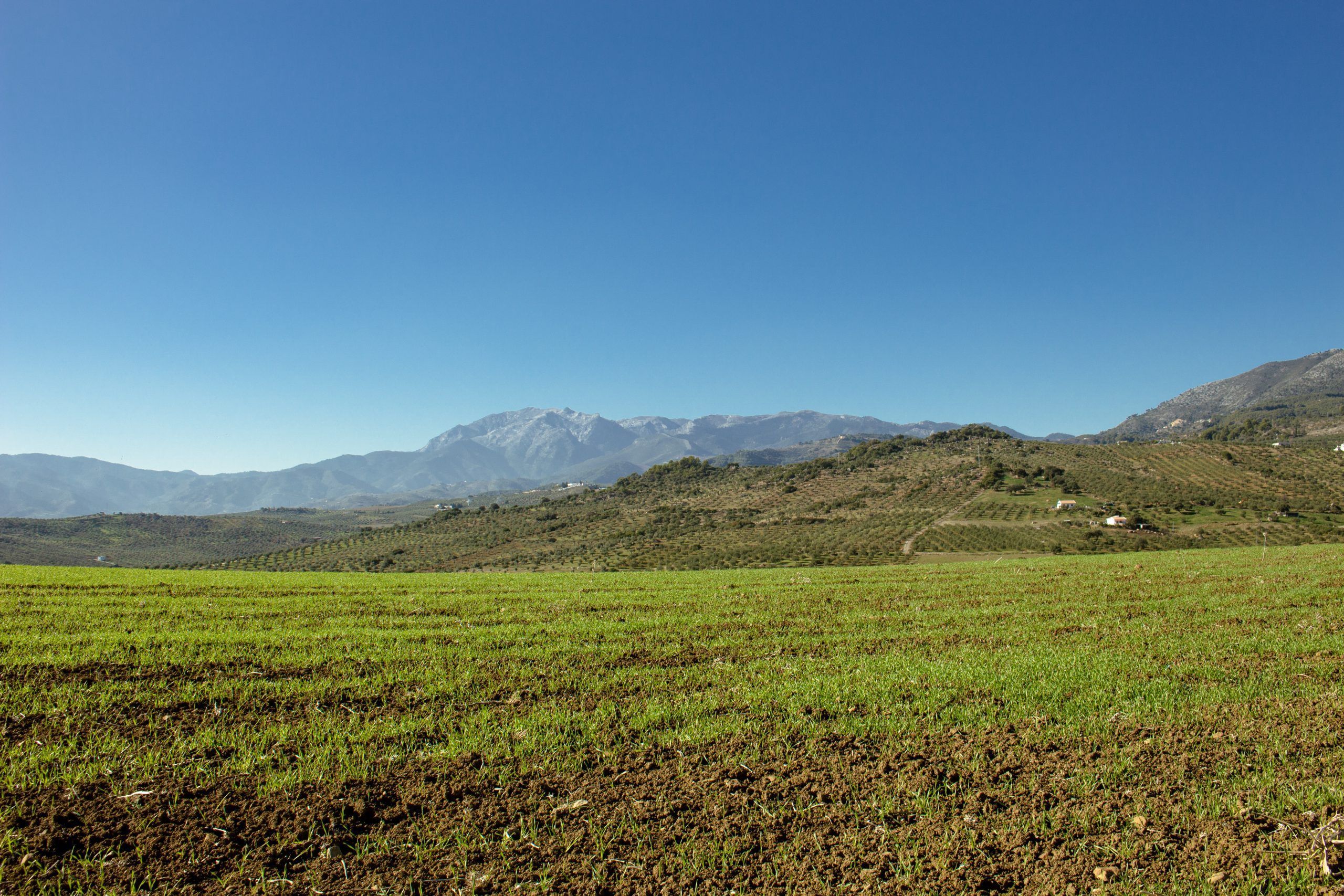 Vistas de la Sierra de las Nieves desde Ardite