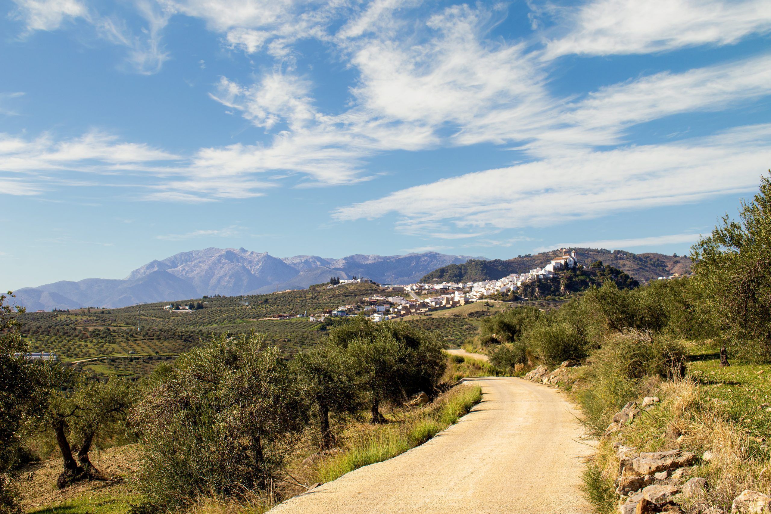 Camino de Coín - Alozaina