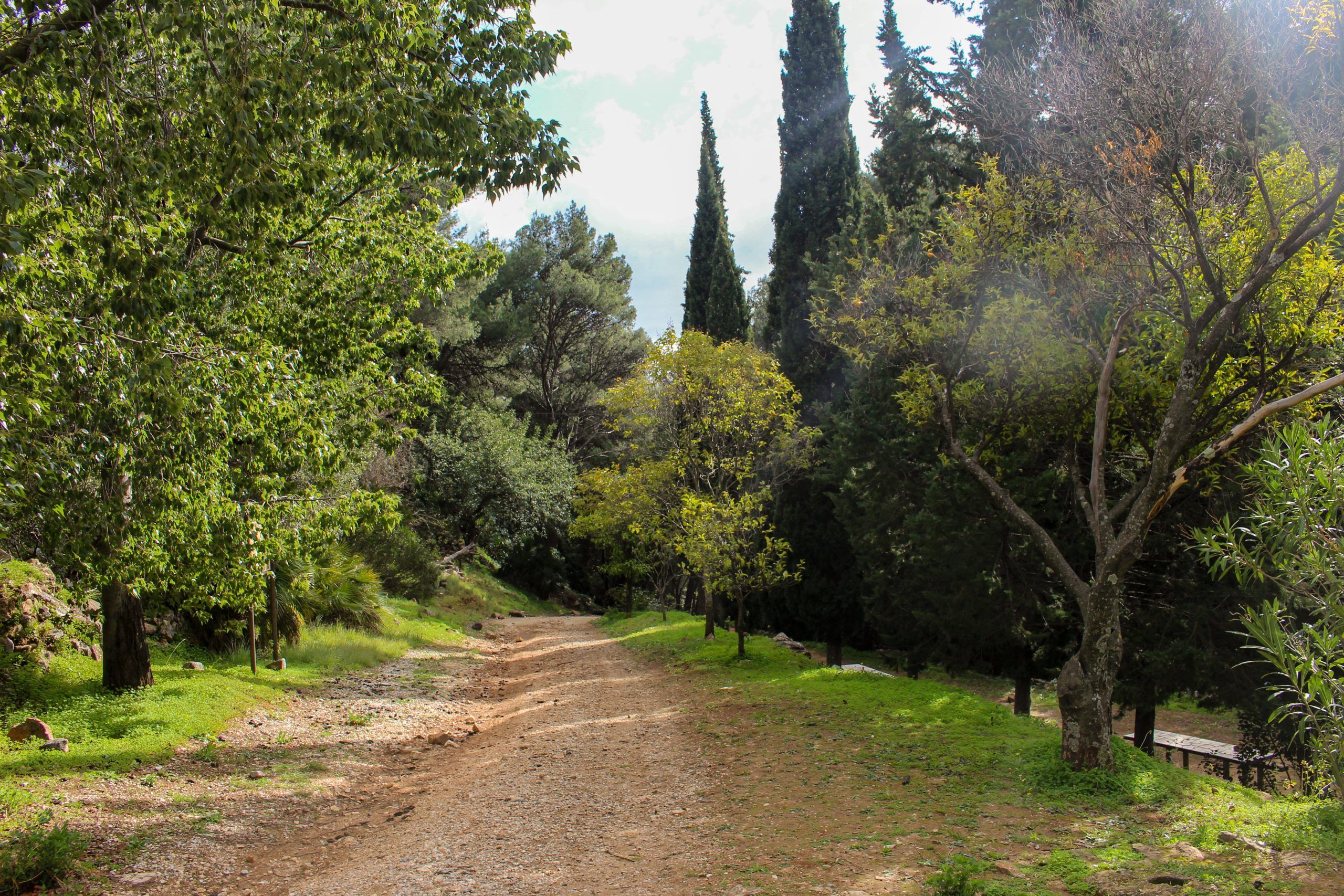 Jardín Botánico El Cerezal