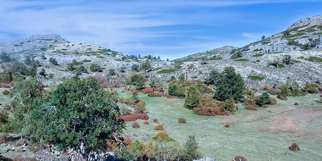 RUTA DE SENDERISMO HACIA EL CERRO ALCAZABA Y LOS HOYOS DEL PILAR EN EL PARQUE NACIONAL SIERRA DE LAS NIEVES.
