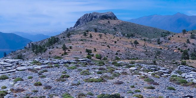 RUTA DE SENDERISMO HACIA EL CERRO ALCAZABA Y LOS HOYOS DEL PILAR EN EL PARQUE NACIONAL SIERRA DE LAS NIEVES.
