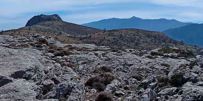 RUTA DE SENDERISMO HACIA EL CERRO ALCAZABA Y LOS HOYOS DEL PILAR EN EL PARQUE NACIONAL SIERRA DE LAS NIEVES.