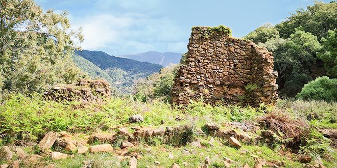 Puerto_del_Alisal-el_Daidín_02