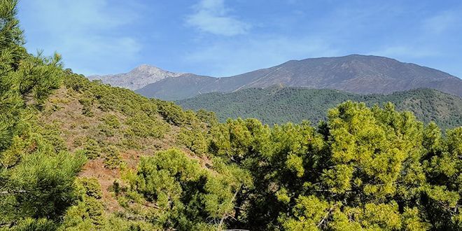 Puerto_del_Alisal-el_Daidín_03