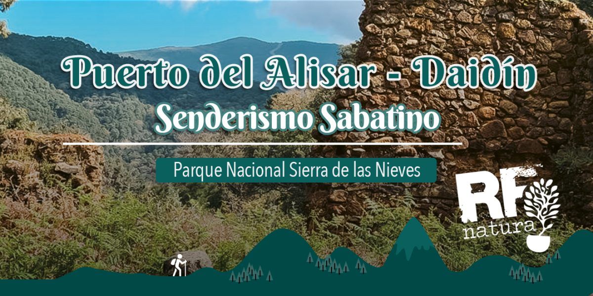 Senderismo Sabatino - DEL PUERTO DEL ALIJAR AL DAIDÍN