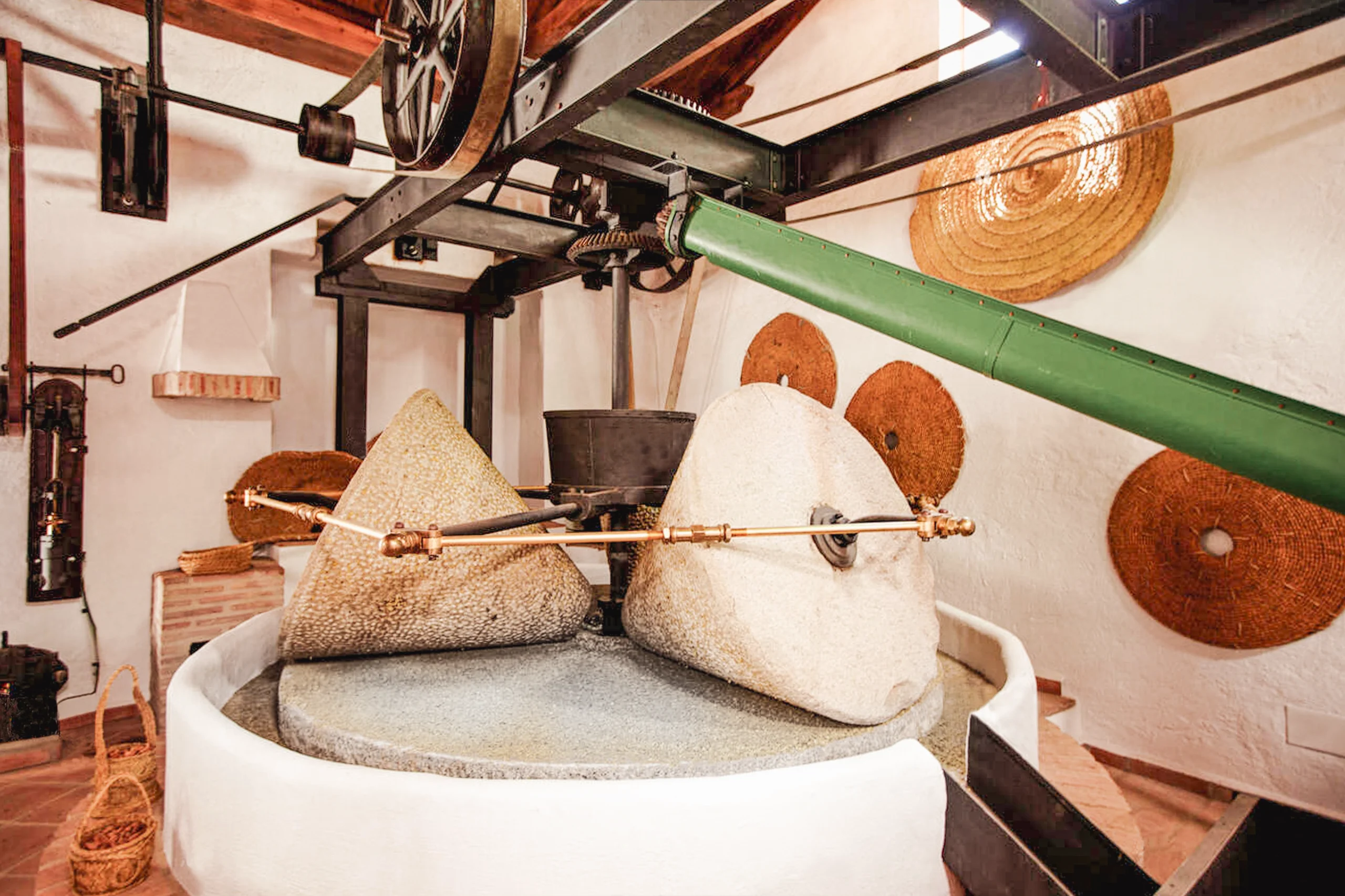 Museo del Aceite
