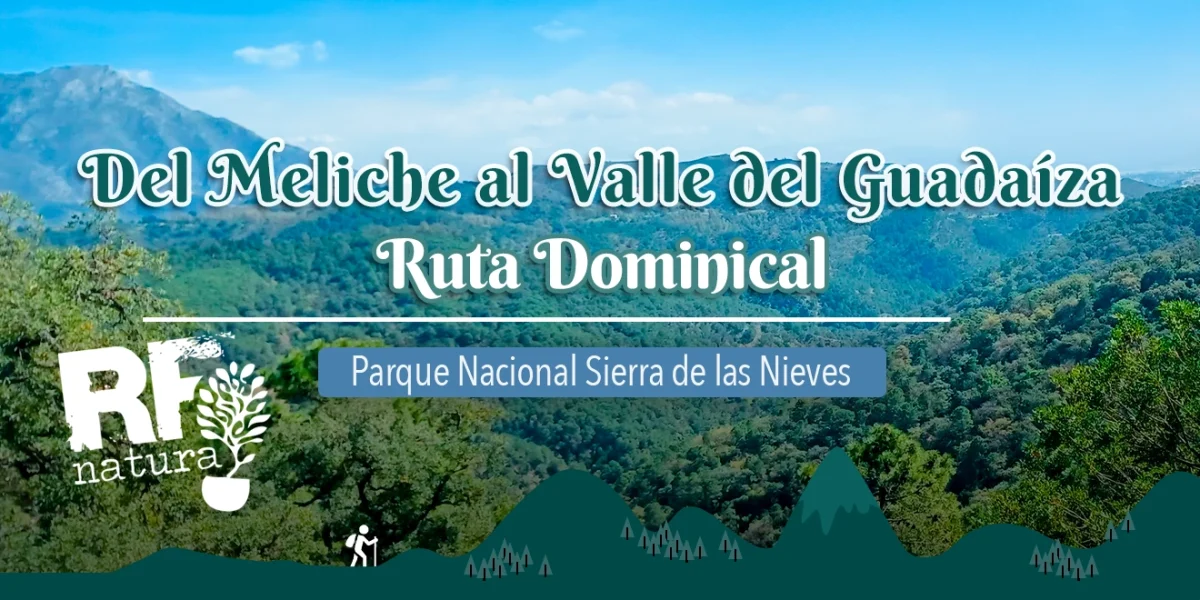 Ruta Dominical: Del Meliche al Valle de Guadaíza