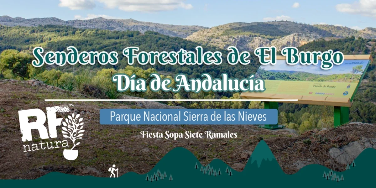 Senderos Forestales El Burgo