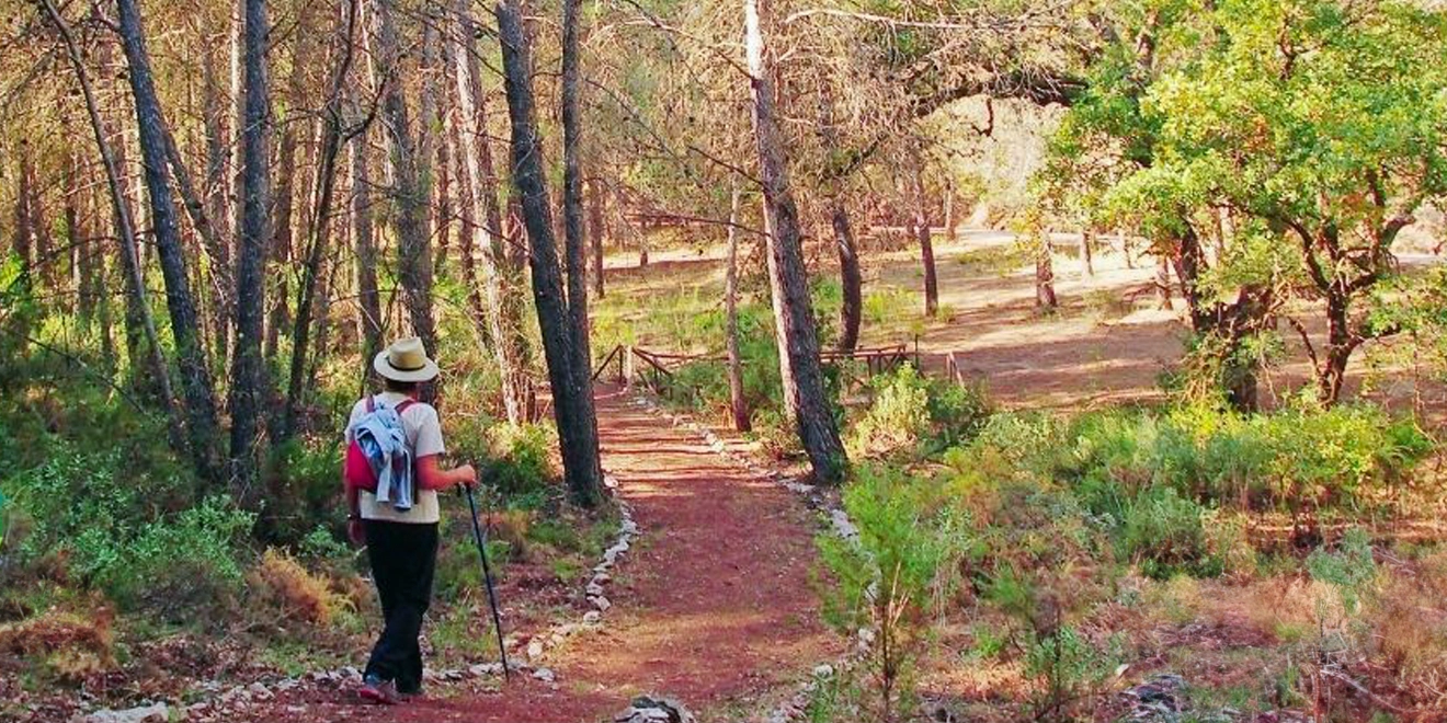 Ruta Circular por los senderos Forestales de El Burgo