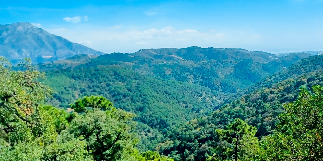 Valle del Guadaíza
