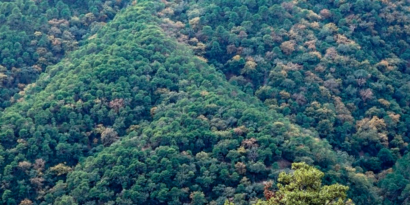 Valle del Guadaíza