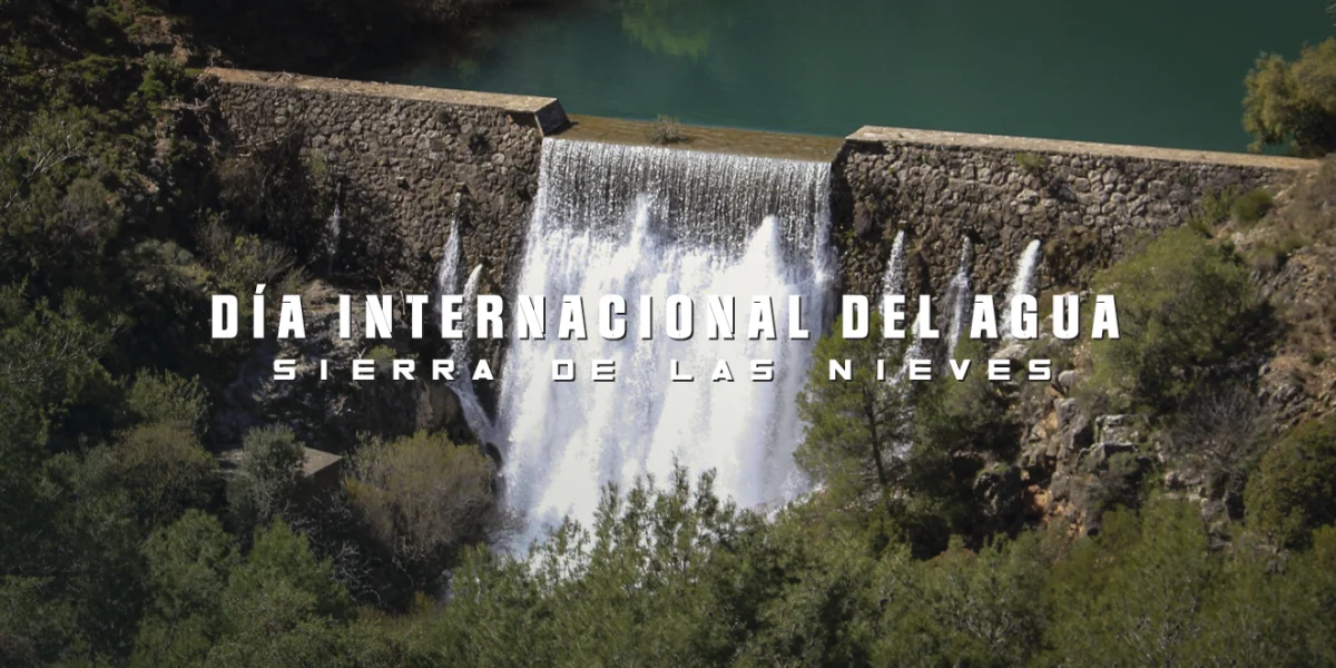 Día internacional del agua