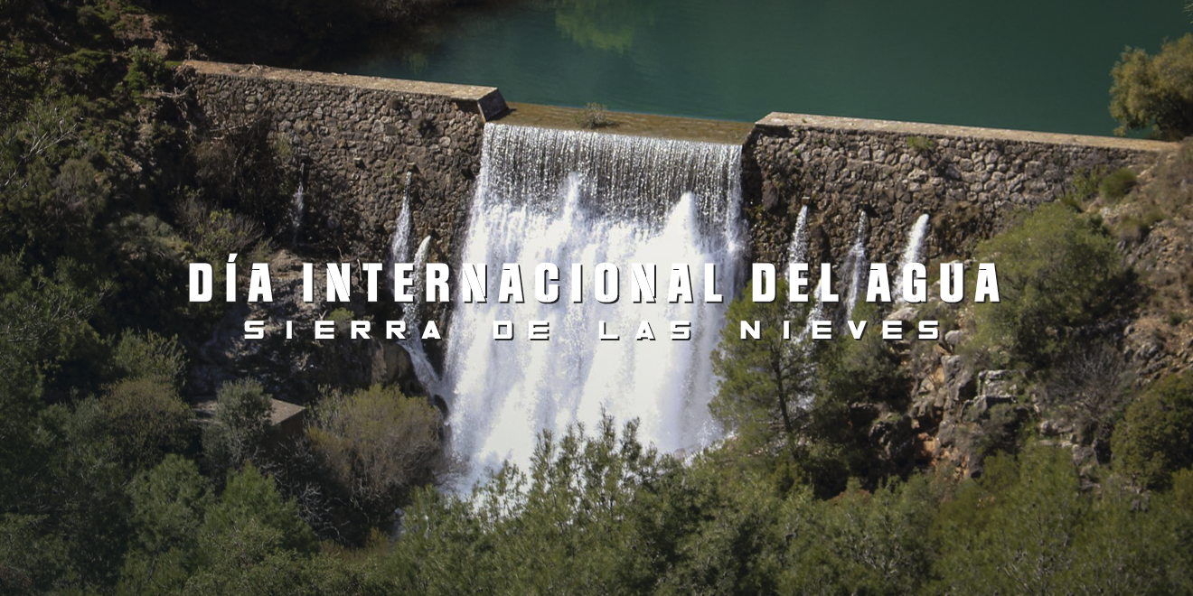 Día internacional del agua