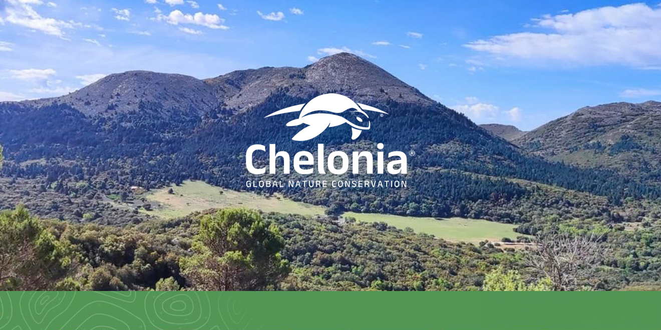Explorando y Conservando: Evento de Mejora de Senderos en el Parque Nacional Sierra de las Nieves