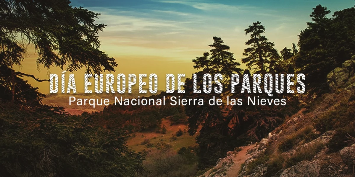 Día Europeo de los Parques 2024: Vota por la naturaleza