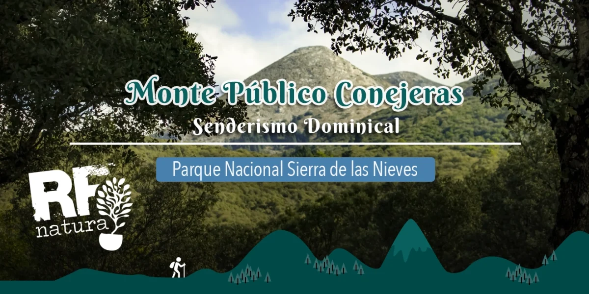 Monte Público Conejeras Parque Nacional Sierra de las Nieves