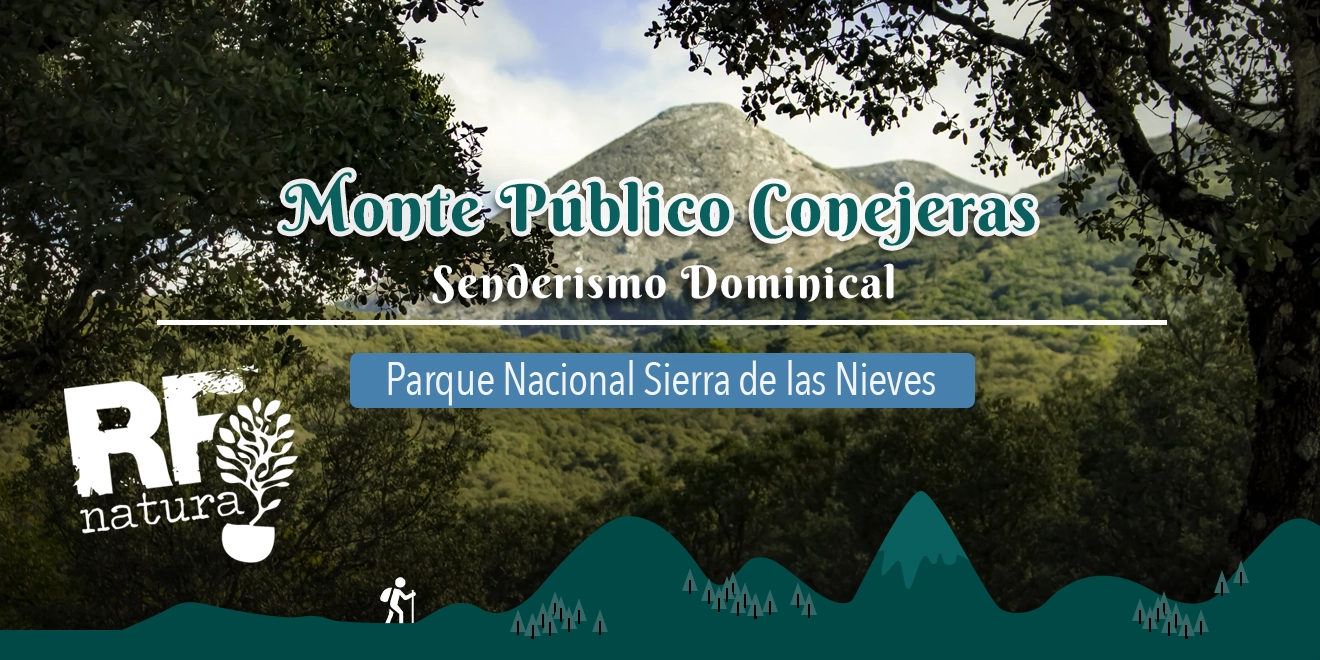 Monte Público Conejeras Parque Nacional Sierra de las Nieves