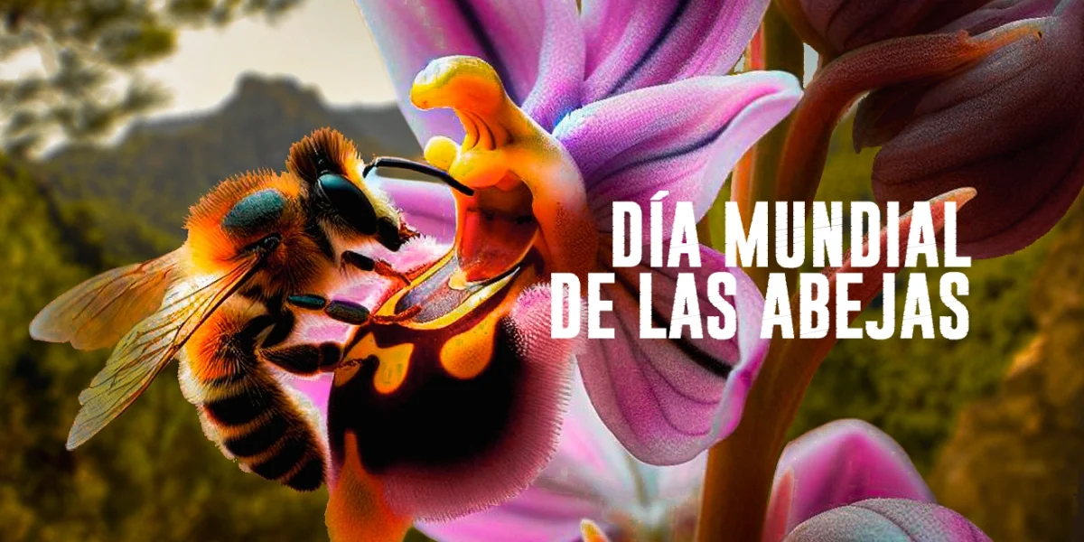 Día Mundial de las Abejas: Parque Nacional Sierra de las Nieves un refugio natural.