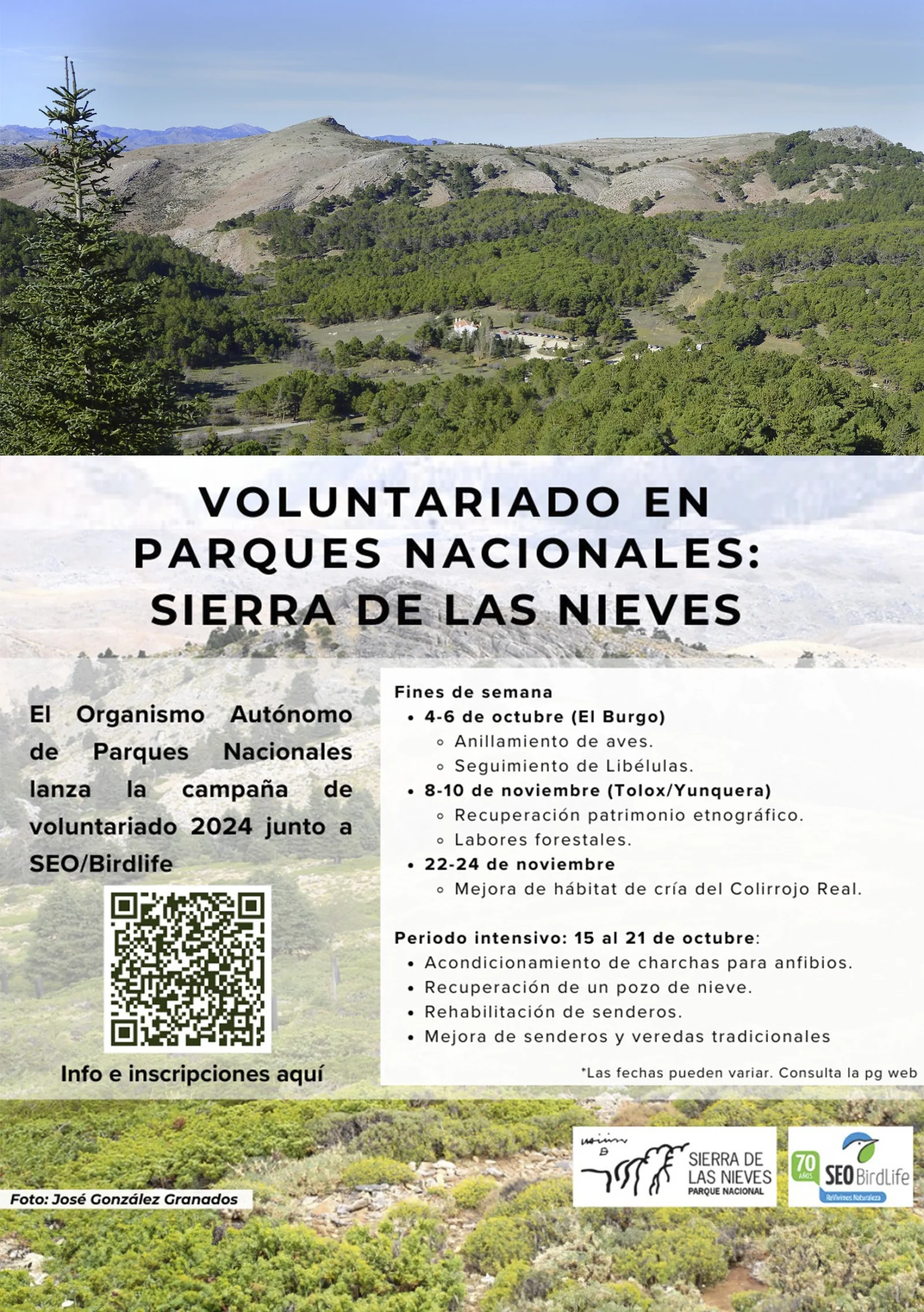 Voluntariados en Parques Nacionales: Sierra de las Nieves
