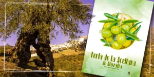 Feria de la Aceituna en Alozaina: Una Tradición con Sabor y Cultura