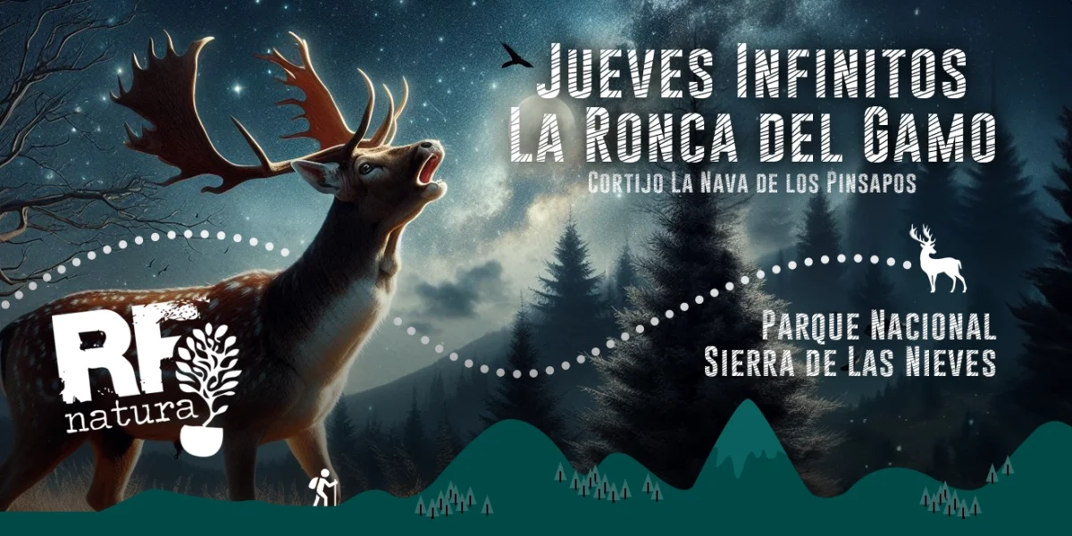 Jueves Infinitos: La Ronca del Gamo