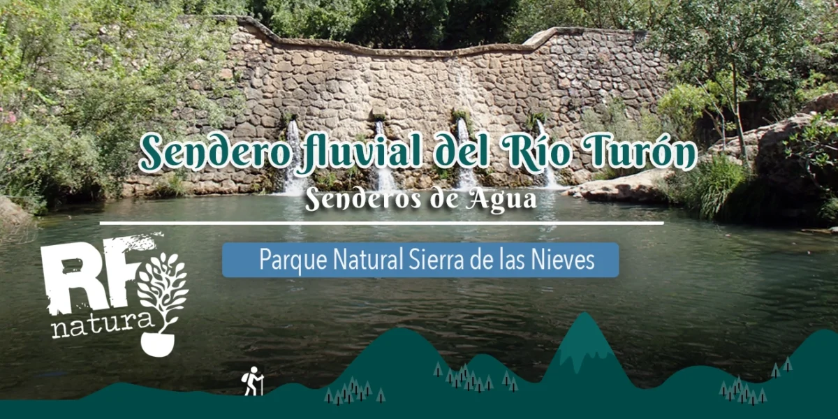 Descubre la Ruta Fluvial del Río Turón: Una Joya en la Sierra de las Nieves