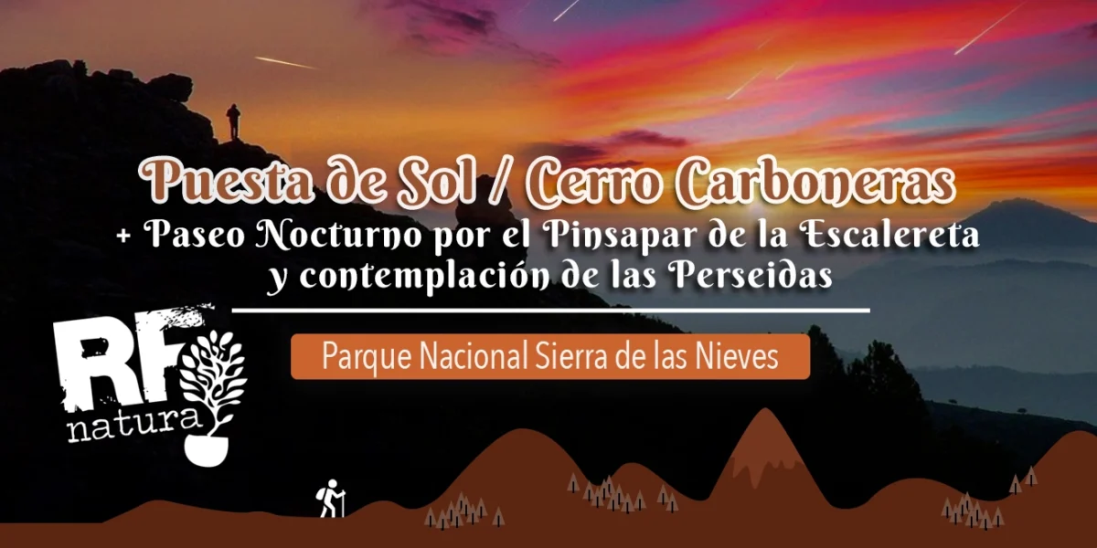 Disfruta de la Magia de la Sierra de las Nieves con RF Natura: Ruta Vespertina y Paseo Nocturno