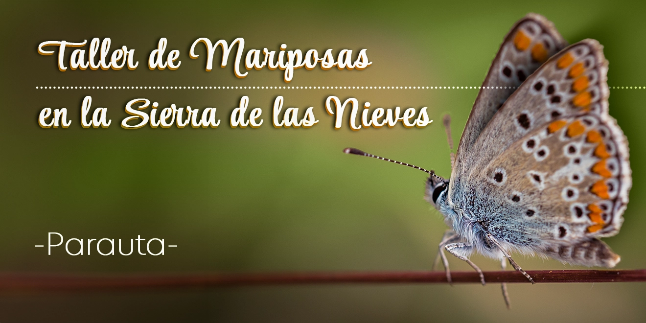 Taller Sensibilizacion Ambiental Las Mariposas del Parque Nacional y Natural de la Sierra de las Nieves