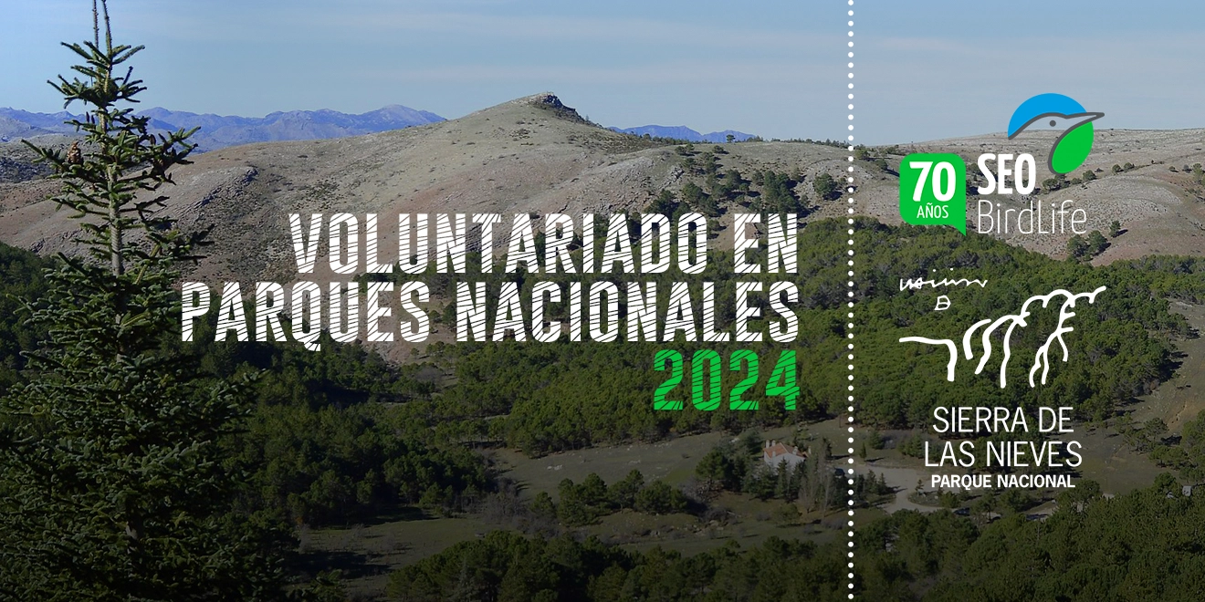 Voluntariados en Parques Nacionales: Sierra de las Nieves