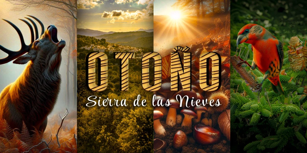 Otoño en la Sierra de las Nieves