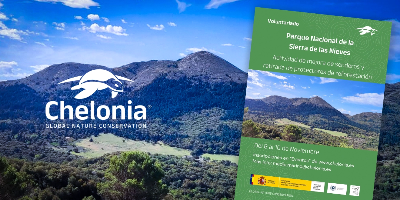 Actividades de Mejora de Senderos en la Sierra de las Nieves