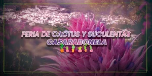 Feria de Cactus Y Suculentas Casarabonela 2024