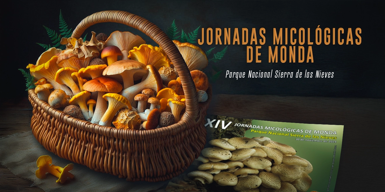 Jornadas Micológicas de Monda 2024
