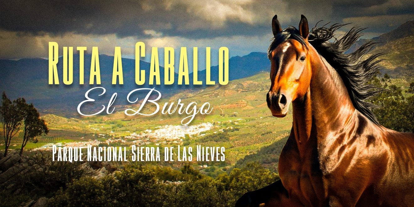 I Ruta a Caballo “El Burgo” – Parque Nacional Sierra de las Nieves