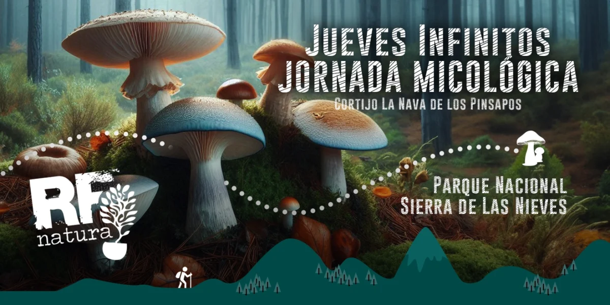 Jueves Infinitos de RF Natura - Jornada Micológica