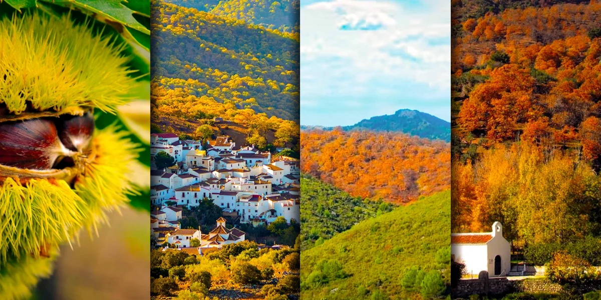 Valle del Genal y Sierra de las Nieves: Bosque de Cobre y Travesía Entre Castaños