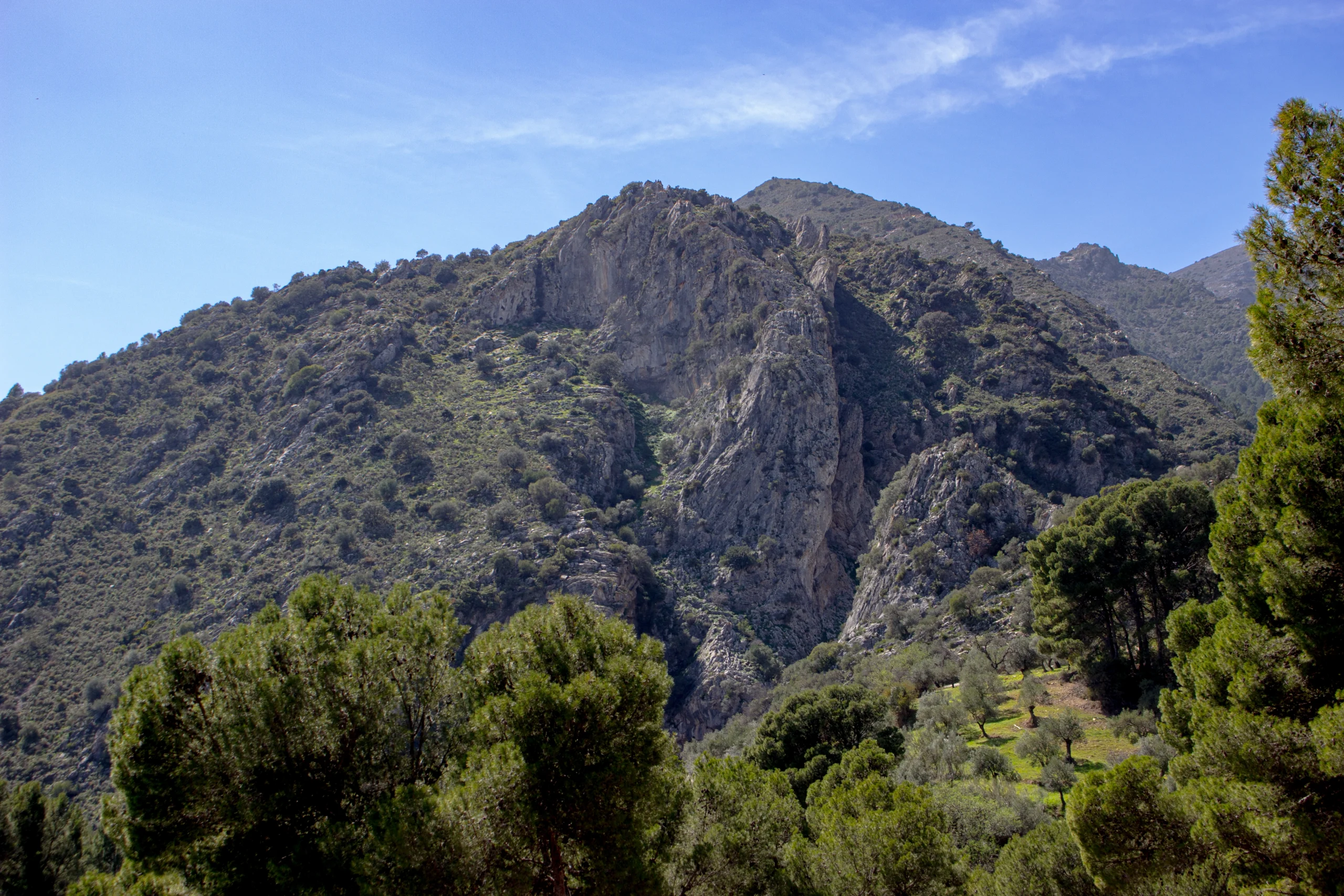 Subida por el carril hacia el Llano de San Cristóbal - Sierra Prieta