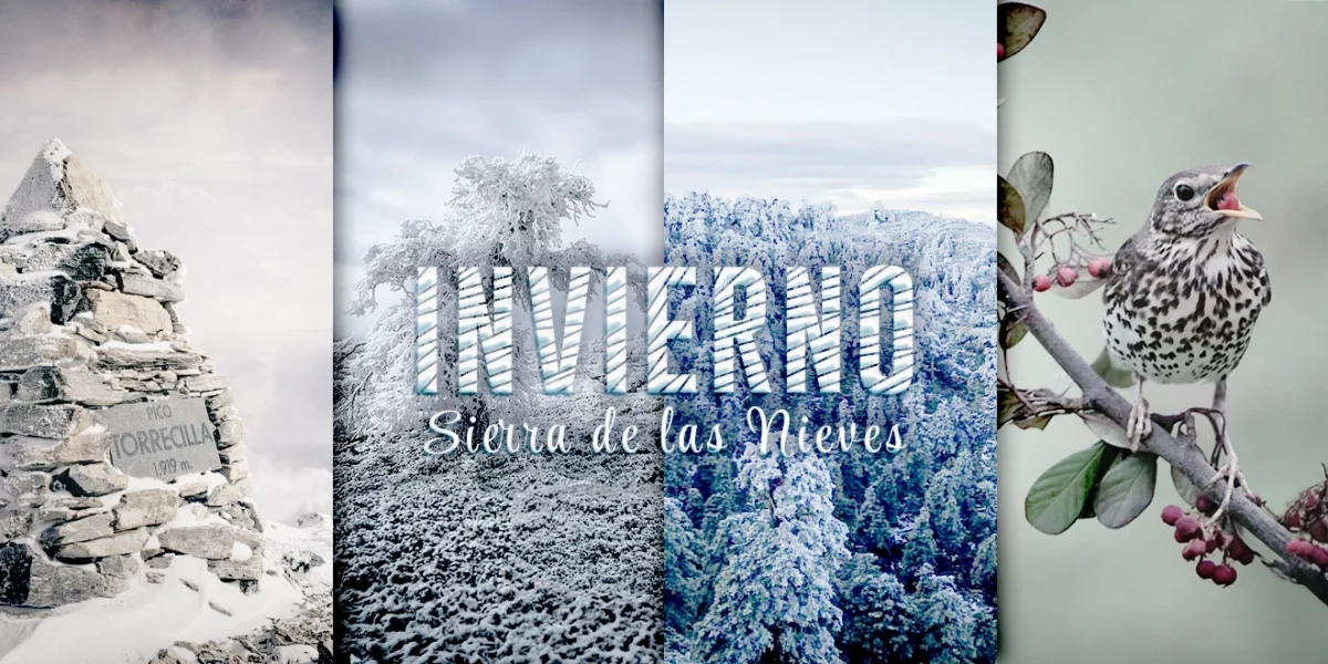 Invierno en la Sierra de las Nieves