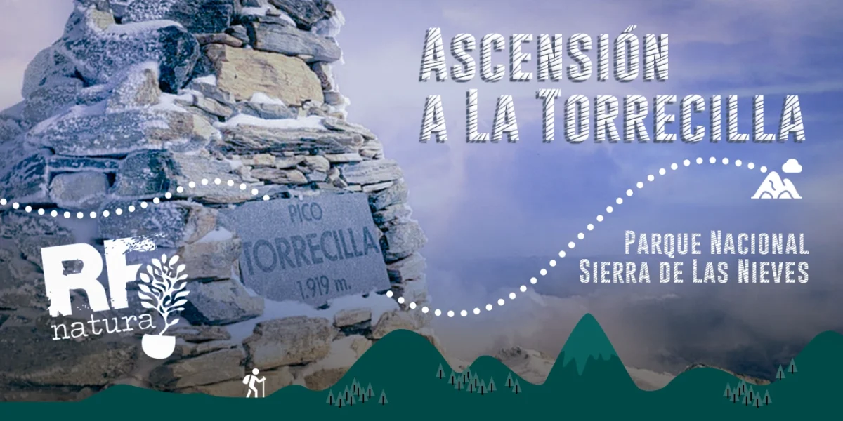 Ascensión a La Torrecilla: Aventura en el Parque Nacional de la Sierra de las Nieves