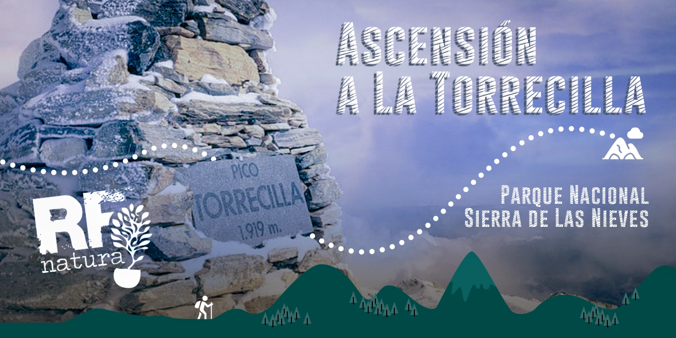 Ascensión a La Torrecilla: Aventura en el Parque Nacional de la Sierra de las Nieves